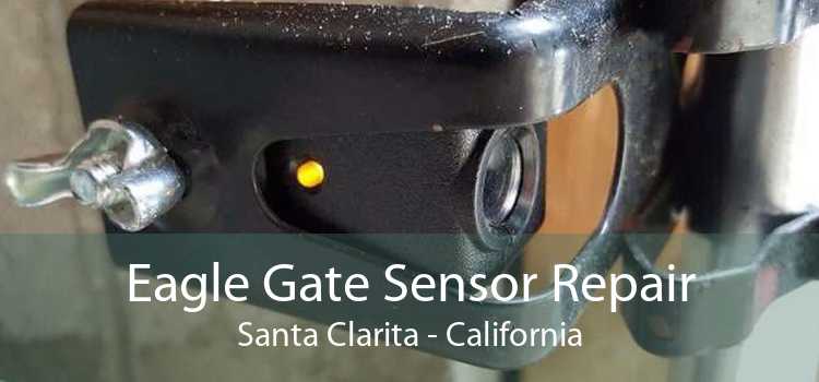 Eagle Gate Sensor Repair Santa Clarita - California